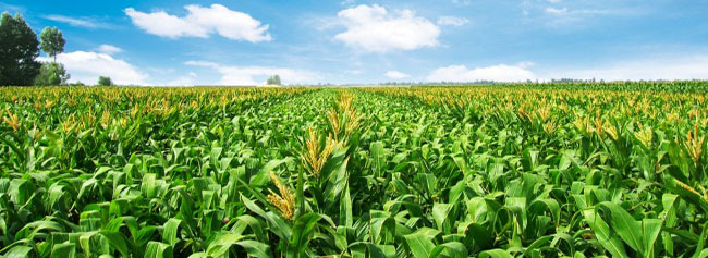 三一產(chǎn)品獲八項(xiàng)第一